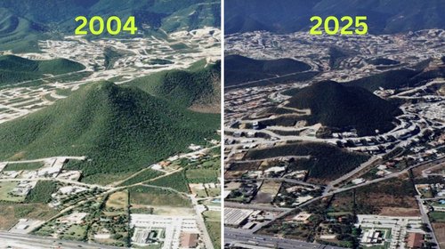 nl_huajuco_portada_6f9a056fd5