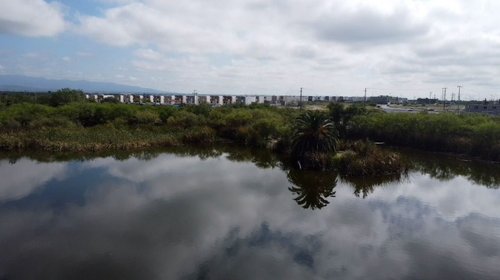 nl_humedales_zuazua_3f19c6029a