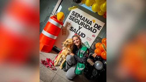 nl_pc_auxilios_psicologicos_28da0514e9