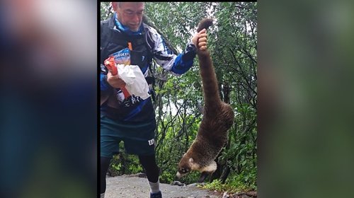 Indigna senderista que maltrata a coatíes en Nuevo León