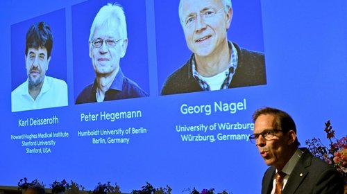 Nobel de Medicina premia a tres por estudio del cerebro con luz