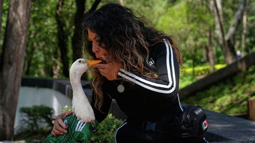 Familia del pato Merlín estrena casa propia en Ciudad de México