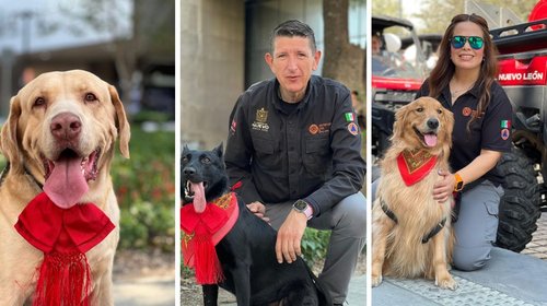 perritos_revolucionarios_desfile_aa37dd3dc8