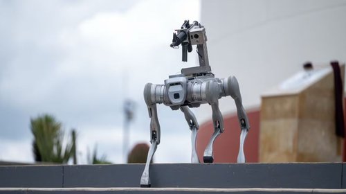 perro_robot_zacatecas_b2e6397228