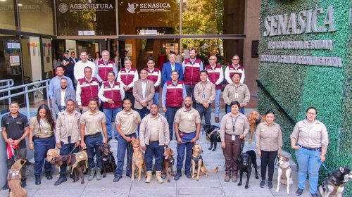 perros_mundial_2026_80fa73279c