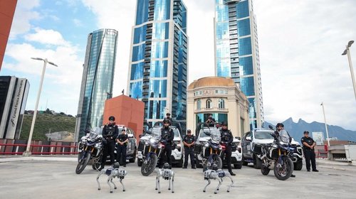 Incorpora San Pedro perros robot a labores de vigilancia pública