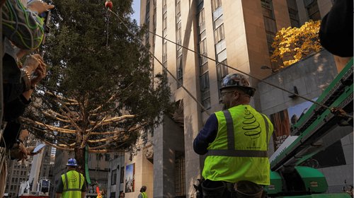 pino_rockefeller_5212051213