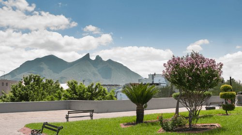 primavera_8411e877a8