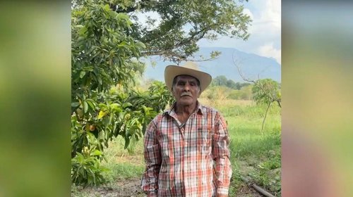 productores_aguacate_tamaulipas_a0154751cc