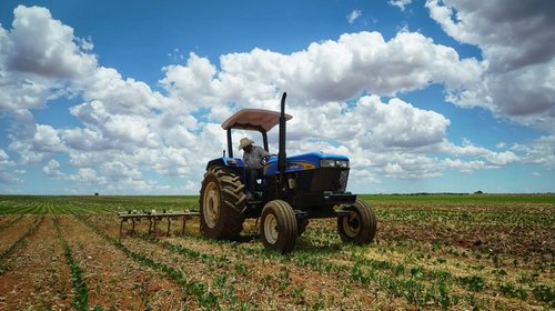 Casi 60% de productores sufrió pérdidas por factores climáticos