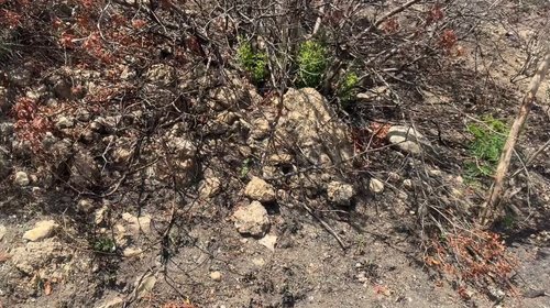 Quema de taludes en la Victoria-Mante podría ocasionar derrumbes