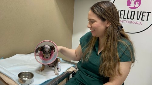 Rescatan en Cienega de Flores a Runa, una cachorrita mutilada