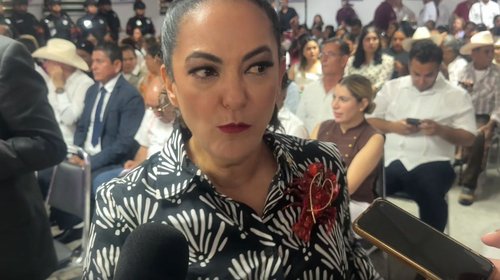 Senado votará reforma sobre doble nacionalidad para candidatos
