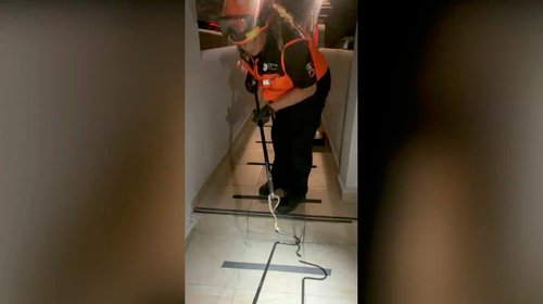 serpiente_casa_satelite_96b2cc3c1f
