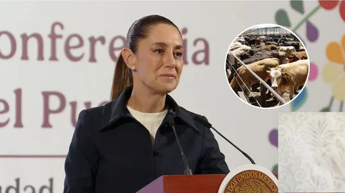 sheinbaum_ganado_85e9bcfd90