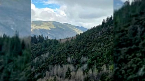 sierra_arteaga_detenidos_7d92a11f37