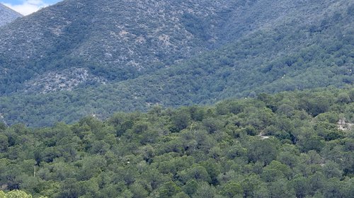 sierra_de_arteaga_coahuila_vigilancia_5dd188939c