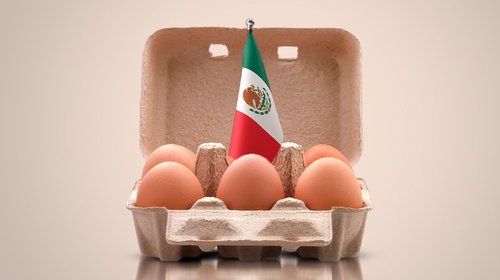 México lidera consumo de huevo a nivel mundial: ¡24 kilos al año!