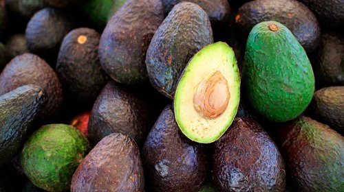 Suspende EUA importaciones de aguacate mexicano