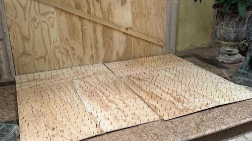 Denuncian en Profepa uso de tablas con clavos para ahuyentar osos