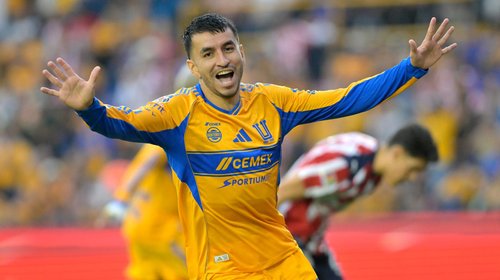 tigres_06f5859274