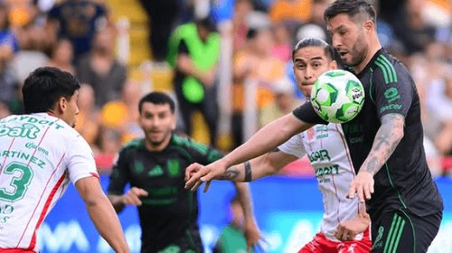 tigres_2_2_c922147c39