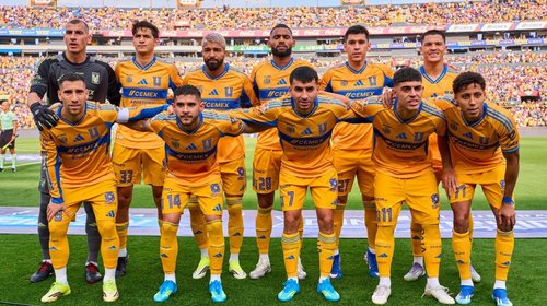 tigres_socio_96246c14b6