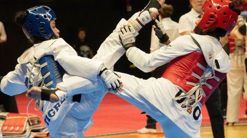 tigres_taekwondo_6dc57af4fc