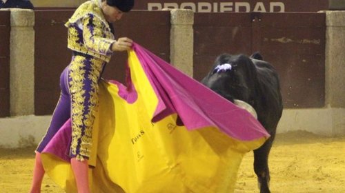 Torero Tomás Angulo resulta muy grave herido tras cornada