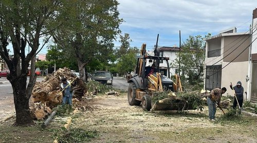 Victoria intensifica labores de limpieza y bacheo tras lluvias