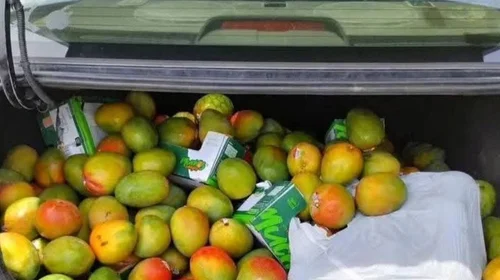 volcadura_camion_mangos1_5bda7797f9