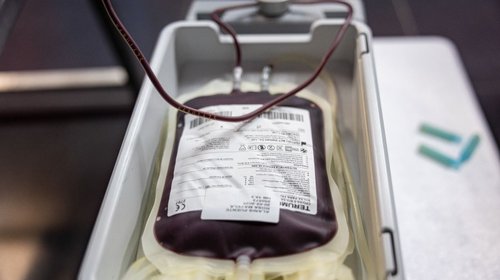 Tendrá Guadalupe campaña de donación altruista de sangre