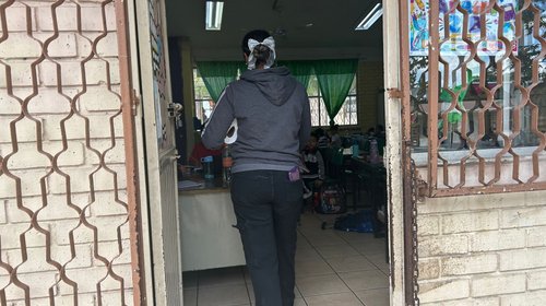 Descarta director plaga de garrapatas en primaria de Saltillo
