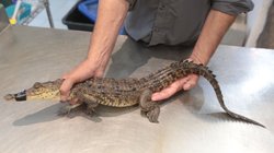 159233b5_50d8_423d_8057_11899ad8437c_b39bb7d186