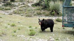 1657fe80_72c3_46b5_a62e_58a5c899e661_01644b042c