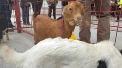 1ac64bdf_be04_492b_b85b_bbec447d62e7_a692b6c7d1