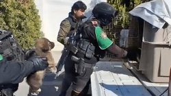 20260204_09_accionesfirmes_divisionambiental_maltratoanimal_05_1aa21cf9c1