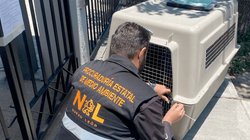20260522_07_divisionambiental_rescate_maltratoanimal_02_93df2c3a90
