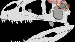 2ffd61495986e7f7207e5d6bad22b6aeb68d77d4w_f7b5acee90