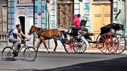 4ca1cd1e27ad81f46569e1a000997088f94c840aw_4f0e5c2fff