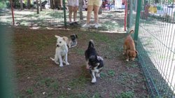 4d9ae69f_030e_431c_acb8_e2e5cf87ec55_9e91df9594