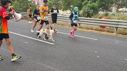 5be7a30b_7578_4767_af38_1e2320742acc_b802f167c9