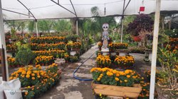 731097f9_dc68_42c4_a740_ca0d93f4814a_8f268a64a5