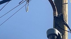 93cde908_c9b8_4a80_9497_d239af2112fe_8c162a7173