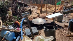 AP_25178813551471_feb42c5b28