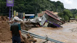 AP_25201179888451_7df7155587