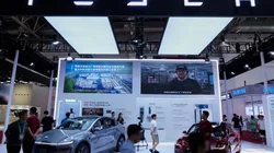 AP_25205519333083_1_d7352cc247