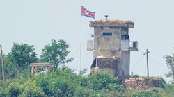 AP_25235071275963_fabfaeef94