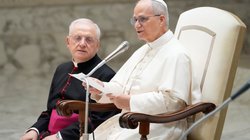 AP_25239420093250_bee5424c53