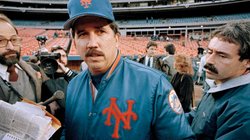 AP_25249579593850_2bff289d6f